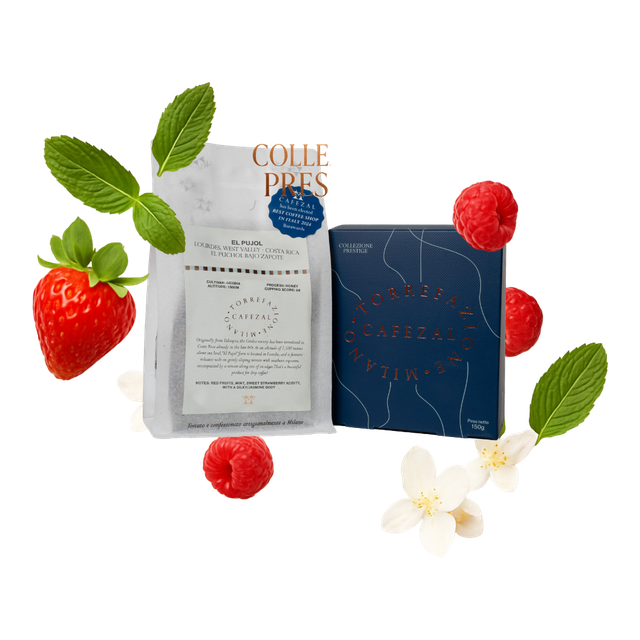 El Pujol - Costa Rica (Geisha), product image from the roaster