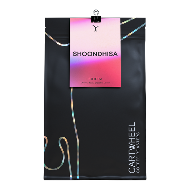Shoondhisa, product image from the roaster