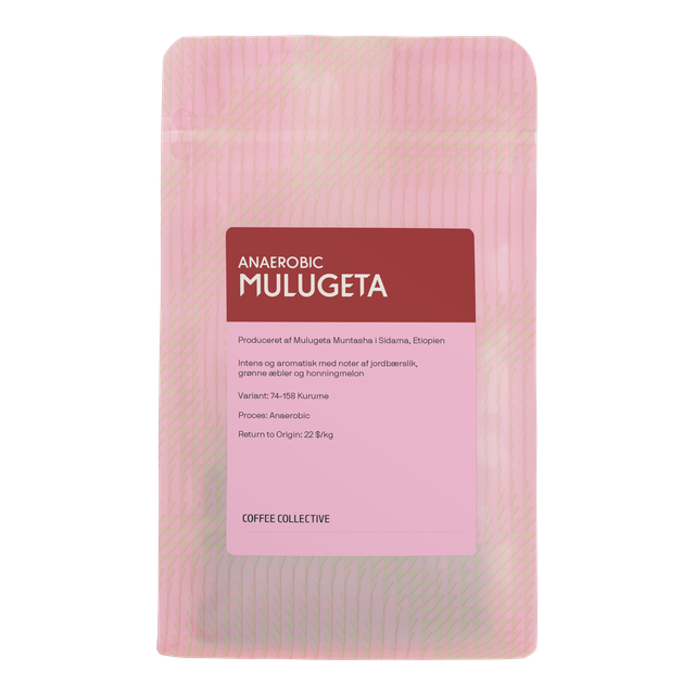 Mulugeta Anaerobic, product image from the roaster