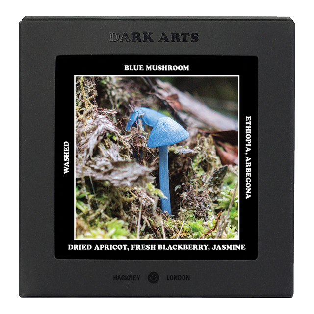 BLUE MUSHROOM - Ethiopia, product image from the roaster