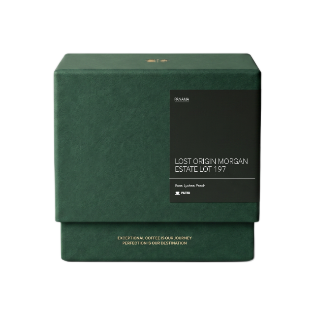 Lost Origin Morgan Estate Lot 197 Filter, product image from the roaster