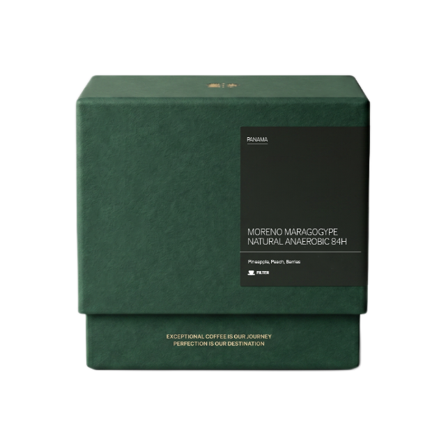 Moreno Maragogype Natural Anaerobic 84H Filter, product image from the roaster