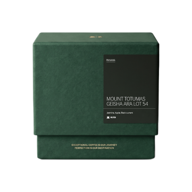 Mount Totumas Geisha Ara Lot 54 Filter, product image from the roaster