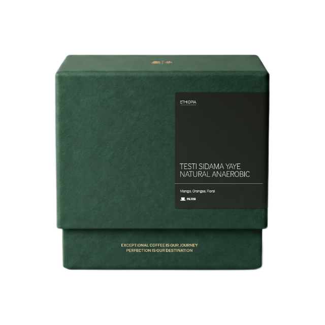 Testi Sidama Yaye Natural Anaerobic Filter, product image from the roaster