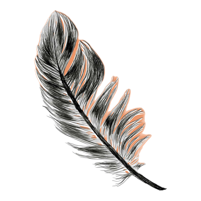 Bunter Bird, product image from the roaster