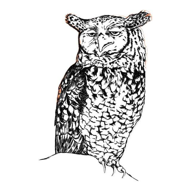 Sleepy Owl, product image from the roaster