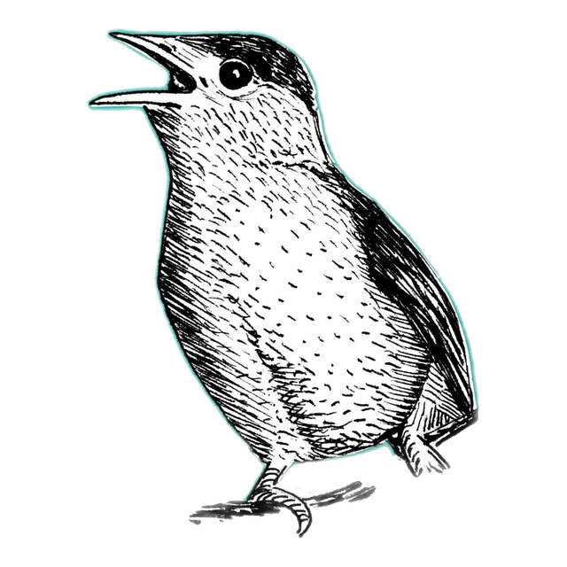 Blackcap, product image from the roaster