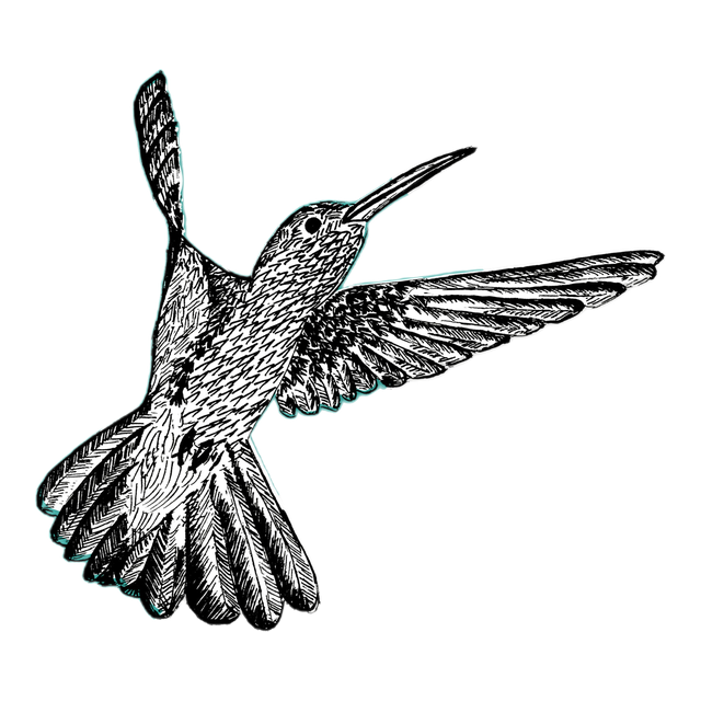 Hummingbird, product image from the roaster