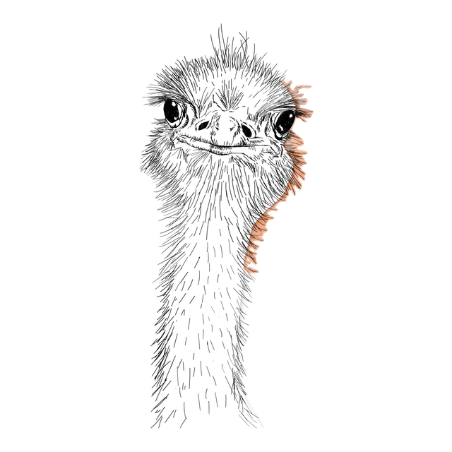 Ostrich, product image from the roaster
