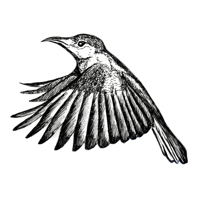 Sunbird, product image from the roaster