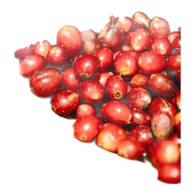 Colombia Anaerobic Strawberry Fermentation, product image from the roaster