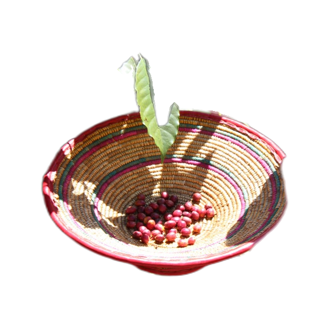 Ethiopia Guji, product image from the roaster