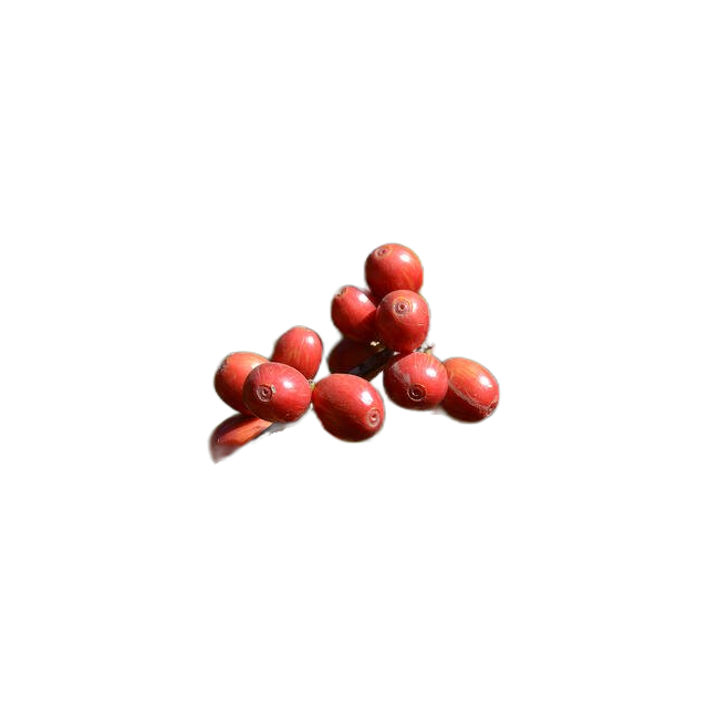 Ethiopia Sweet Berry, product image from the roaster