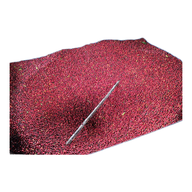 Nicaragua Finca La Argentina El Carbon Plot Anaerobic, product image from the roaster