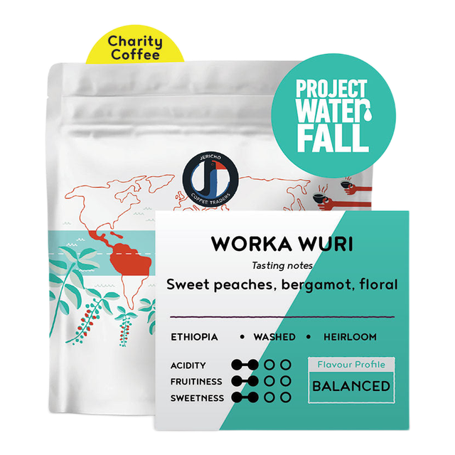 Project Waterfall - Ethiopia, product image from the roaster