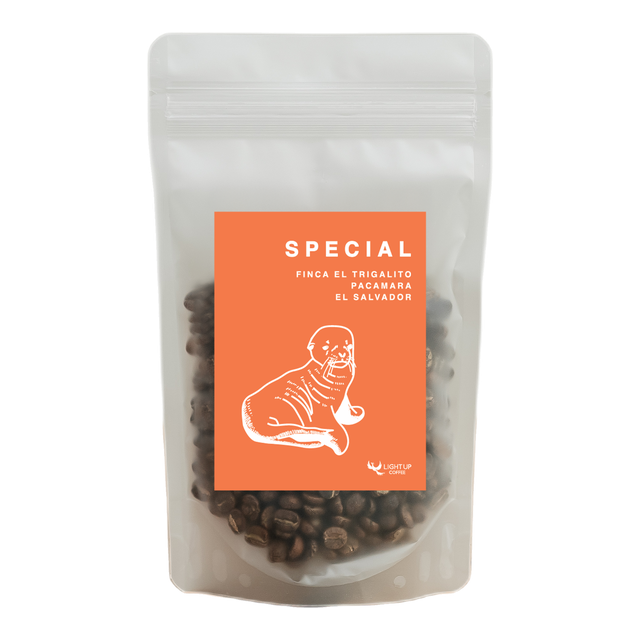 FINCA EL TRIGALITO PACAMARA - EL SALVADOR, product image from the roaster