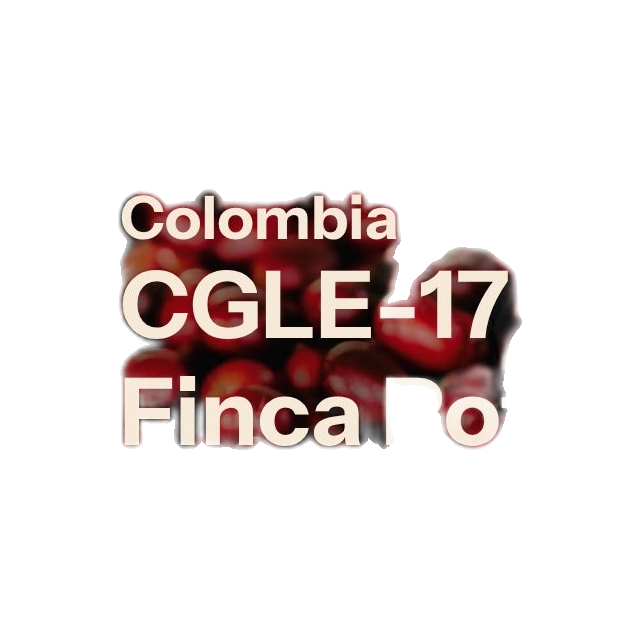 Finca Potosí - CGLE17 Natural - Cafe Granja La Esperanza (Colombia), product image from the roaster