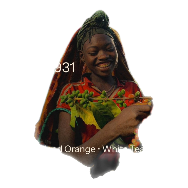 Gesha Village - Oma Lot 147 - Natural Gesha 1931 (Ethiopia), product image from the roaster