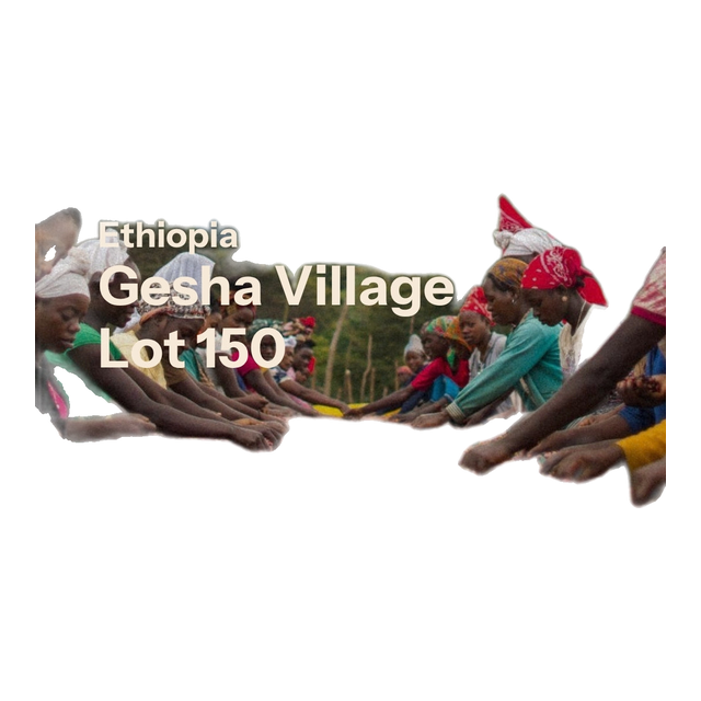 Gesha Village - Oma Lot 150 - Natural Gesha 1931 (Ethiopia), product image from the roaster
