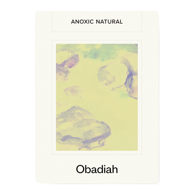 Shyira Anoxic Natural, product image from the roaster
