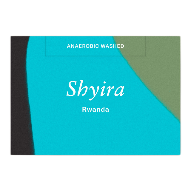 Shyira, product image from the roaster