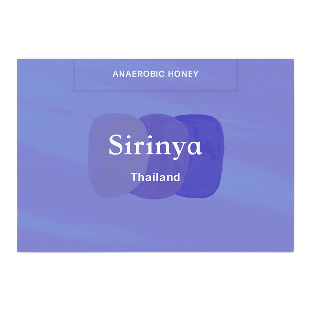 Sirinya, product image from the roaster