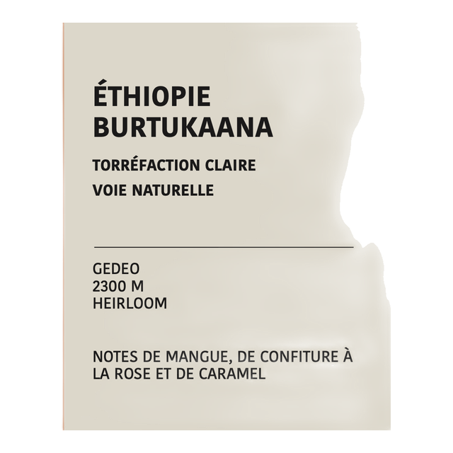 Éthiopie Burtukaana Danche, product image from the roaster