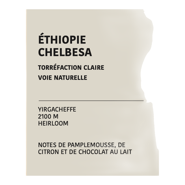 Ethiopia Margarissa Chelbesa, product image from the roaster
