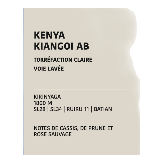 Kenya AB Kiangoi, product image from the roaster