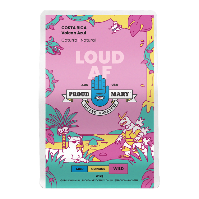Costa Rica | Volcan Azul | Caturra | Natural, product image from the roaster