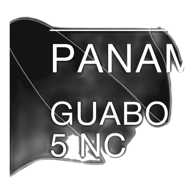 Panama, Guabo 5 NC Geisha, product image from the roaster