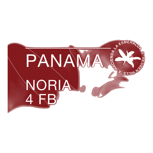 Panama, Noria 4 FB Geisha, product image from the roaster