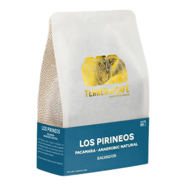 Café Los Pirineos - Pacamara, product image from the roaster