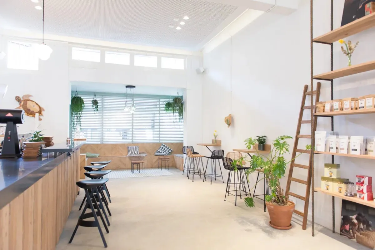 The bright Bocca espresso bar, with a long wooden counter, black stools, hanging plants and shelves of coffee bags