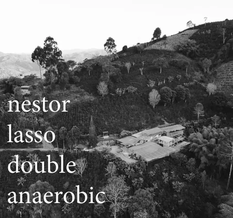 Colombia Double Anaerobic Mossto then washed - Nestor Lasso, product image from the roaster
