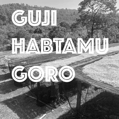 Guji Habtamu Goro, product image from the roaster