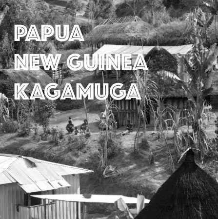Papua New Guinea Arufa Natural, product image from the roaster
