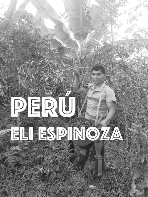 Relationship Coffee: Peru Eli Espinoza Soberon, product image from the roaster