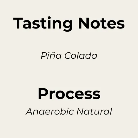 El Salvador, Apaneca-Ilamatepec, product image from the roaster