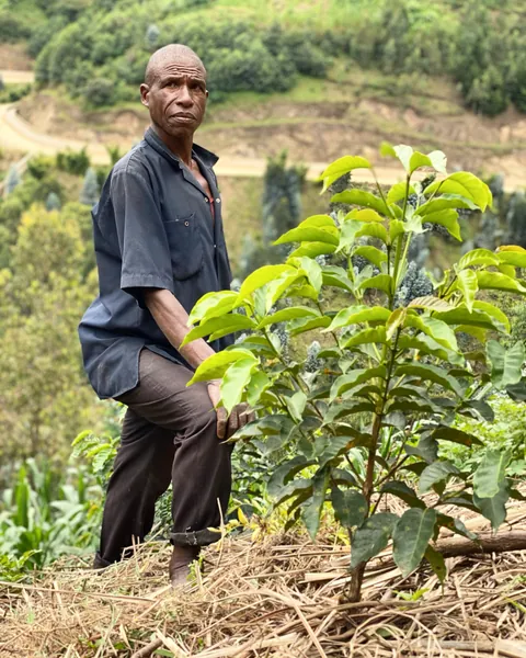 Rwanda, Rugali CWS, Nyamasheke, product image from the roaster