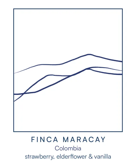 Finca Maracay, product image from the roaster