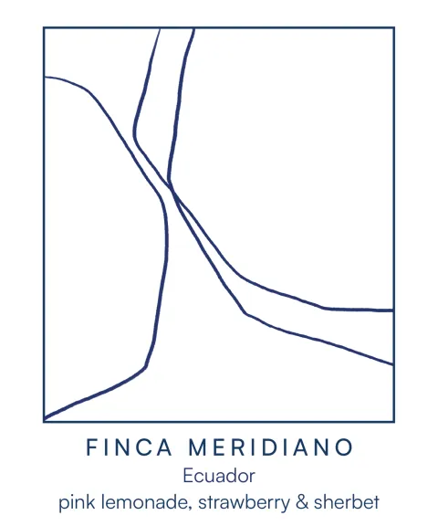 Finca Meridiano, product image from the roaster
