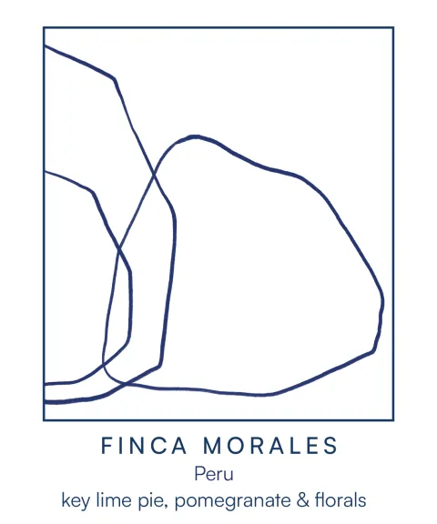 Finca Morales, product image from the roaster