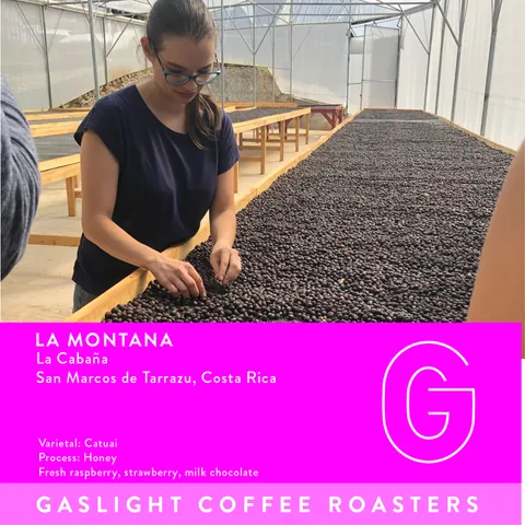 Costa Rica San Marcos de Tarrazú La Montaña, product image from the roaster