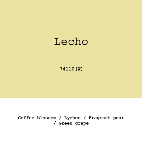 Ethiopia Lecho 74110 Fully washed, product image from the roaster