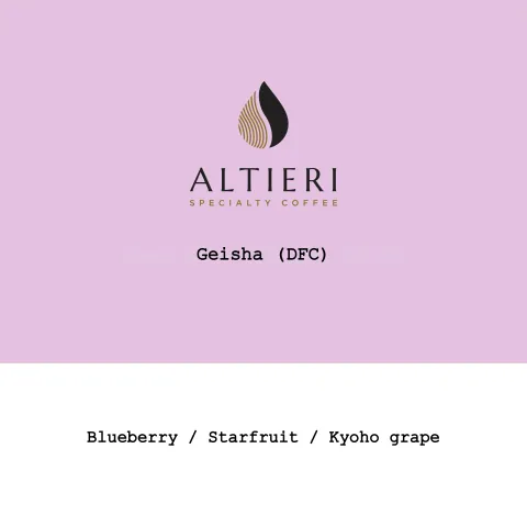 Panama Altieri- Mima Estate Alessa Plot Geisha Dry fermentation cold natural, product image from the roaster