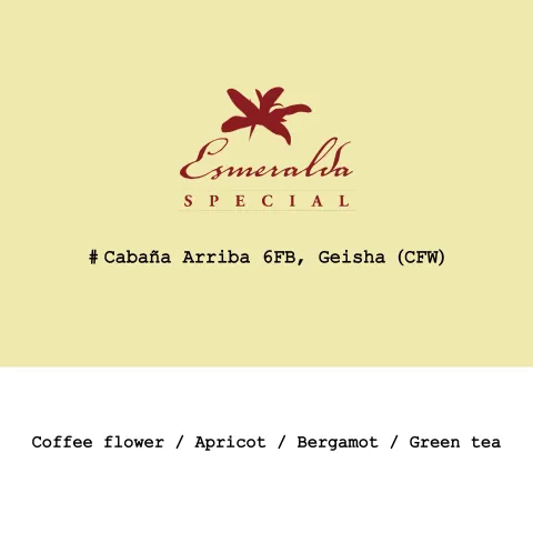 Panama HLE-Cañas Verdes Cabaña Arriba #6FB Geisha Cold fermentation washed, product image from the roaster