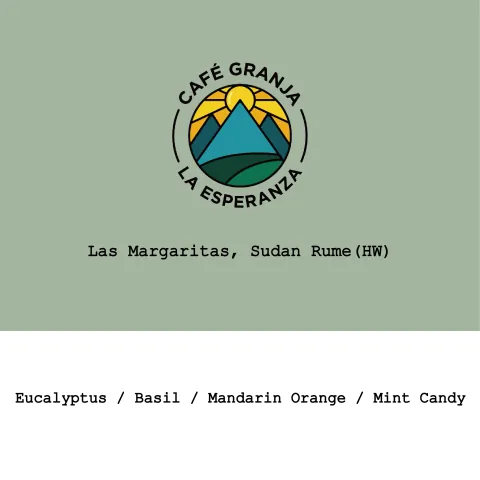 Colombia CGLE-Las Margaritas Sudan Rume Hybrid Washed, product image from the roaster