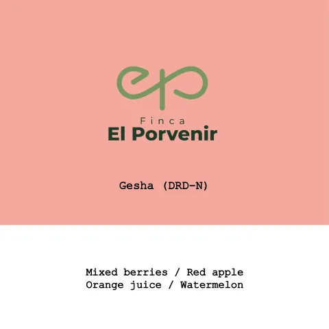 Colombia El Porvenir Gesha Dark-room Dry Natural, product image from the roaster