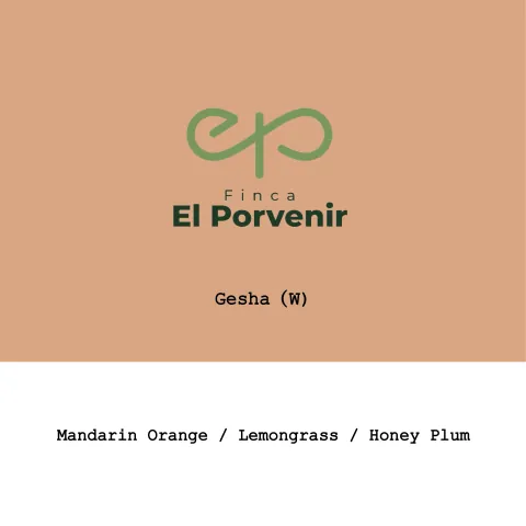 Colombia El Porvenir Gesha Washed, product image from the roaster
